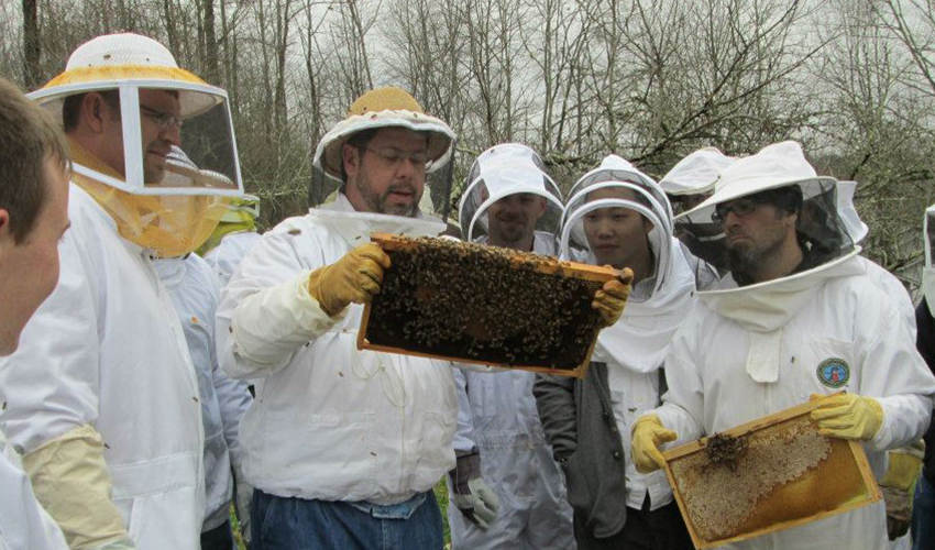 beekeeping education
