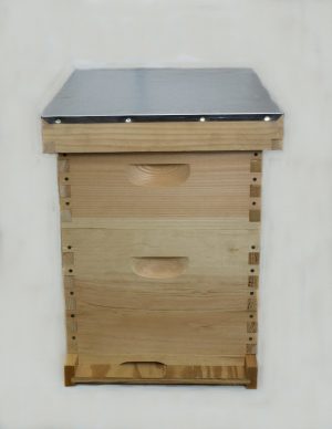 8 Frame Starter Hive