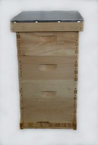 First Year 8 Frame Hive